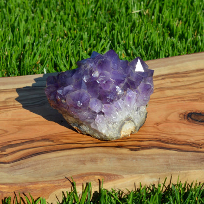 Amethyst "Igel" Kristall