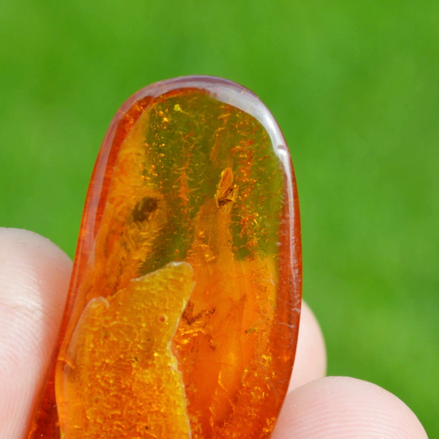 Baltischer Bernstein mit Mückeneinschluss