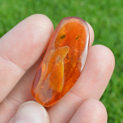 Baltischer Bernstein mit Mückeneinschluss