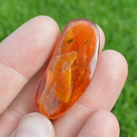 Baltischer Bernstein mit Mückeneinschluss