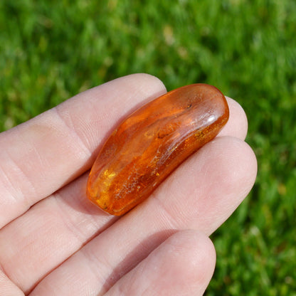 Baltischer Bernstein mit Mückeneinschluss