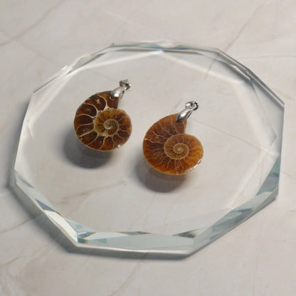 Ammonit Anhänger - Fossil