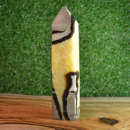 Septarie Turm (Groß)