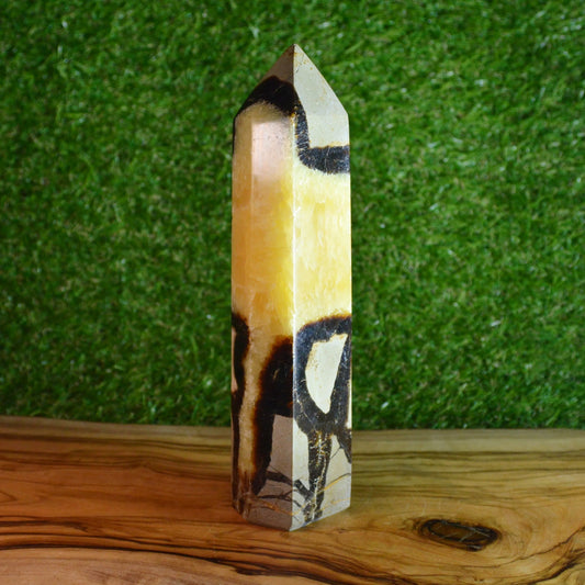 Septarie Turm (Groß)