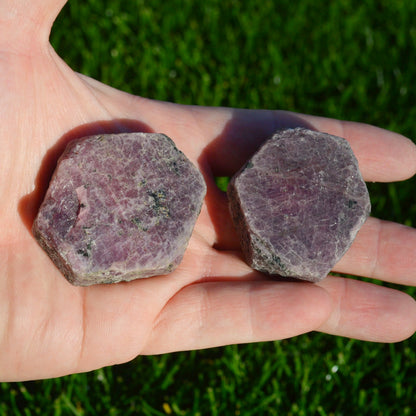 Rubin Rohstein (Groß)