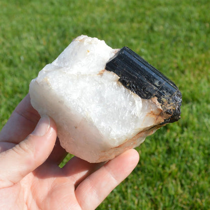 Schörl-Turmalin im Quarz Stufe