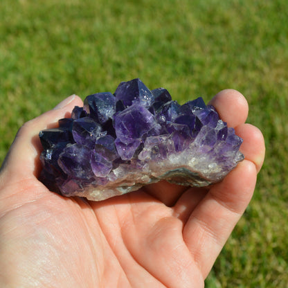 Amethyst "Igel" Kristall