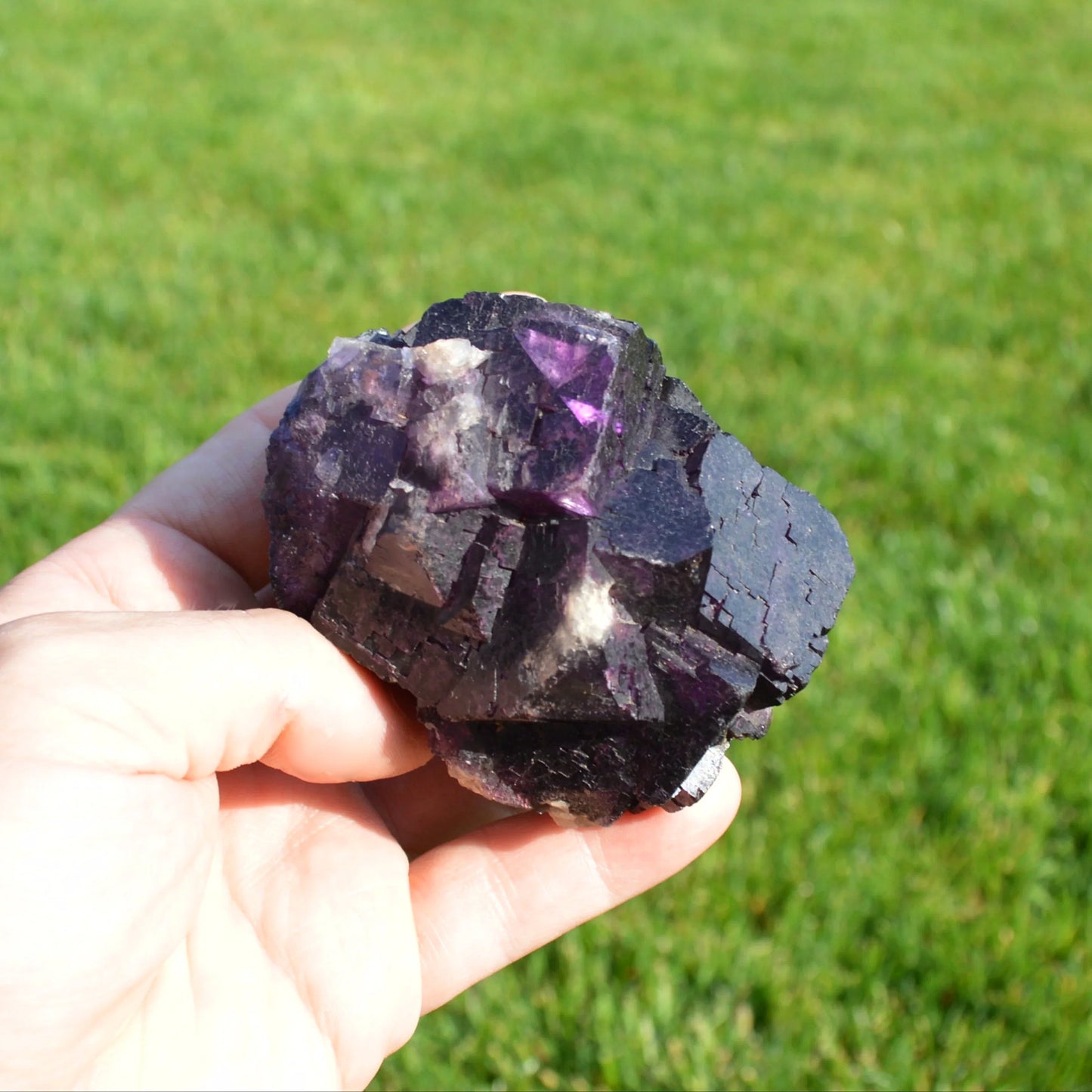 Dunkelvioletter Fluorit