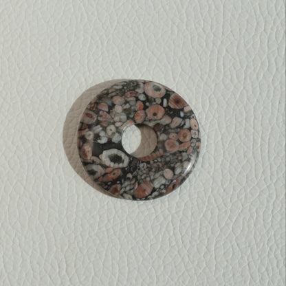 Trochit Donut (Seelilie) - 35mm