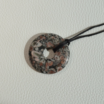 Trochit Donut (Seelilie) - 35mm