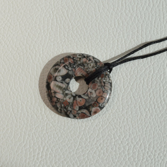 Trochit Donut (Seelilie) - 35mm