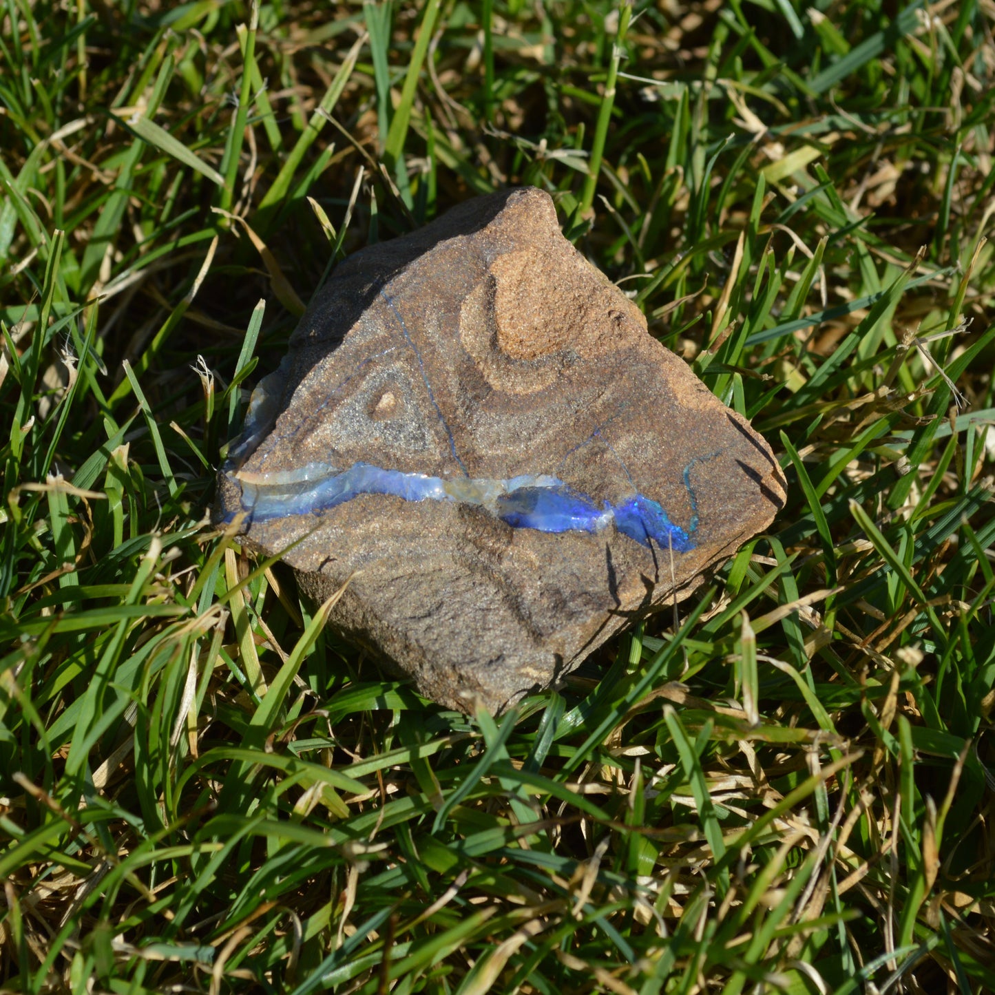 Boulder Opal Rohstein