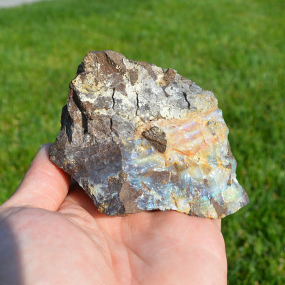 Boulder Opal Rohstein (Groß)