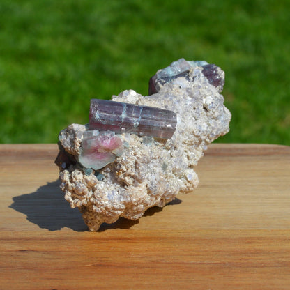 Bicolor-Turmaline in Matrix