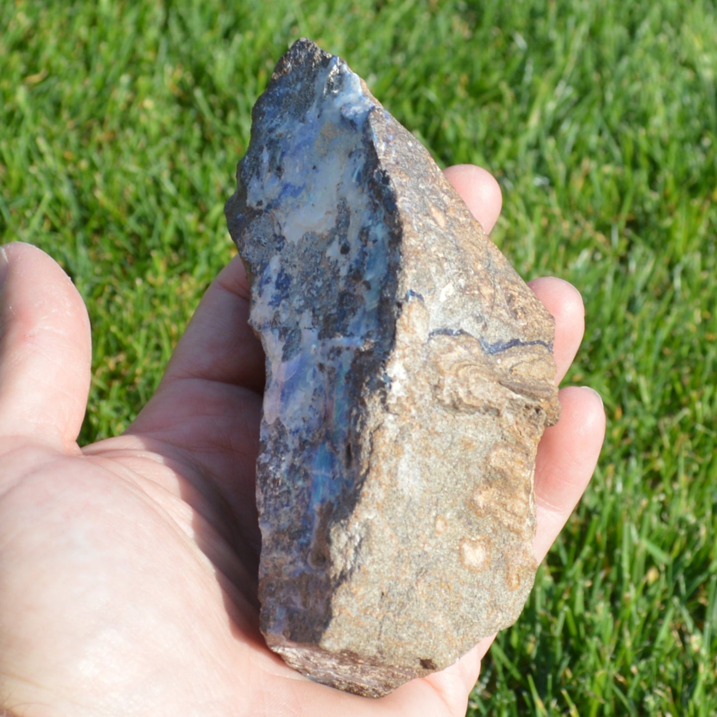 Boulder Opal Rohstein (Groß)