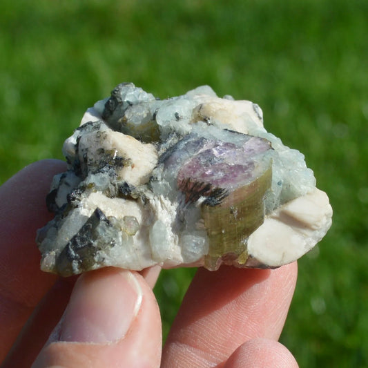 Wassermelonen-Turmalin in Matrix