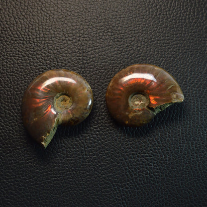 Opalisierender Ammonit Anhänger - Fossil