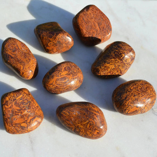 Schlangenhaut Jaspis Trommelstein