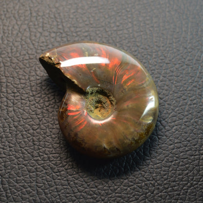 Opalisierender Ammonit Anhänger - Fossil