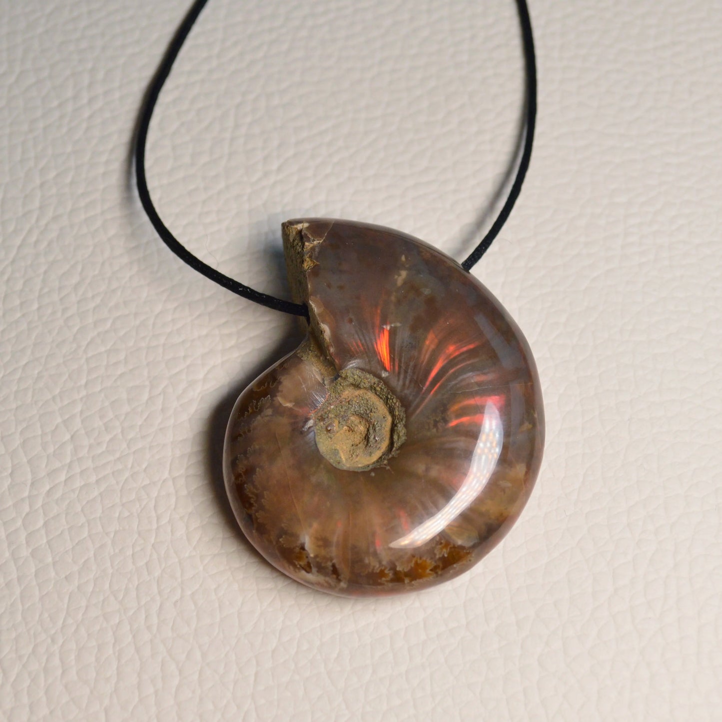 Opalisierender Ammonit Anhänger - Fossil