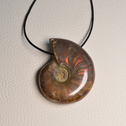 Opalisierender Ammonit Anhänger - Fossil