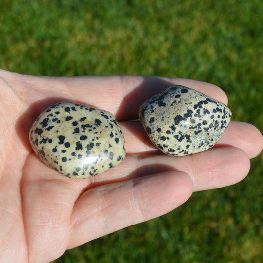 Dalmatiner Jaspis Trommelstein