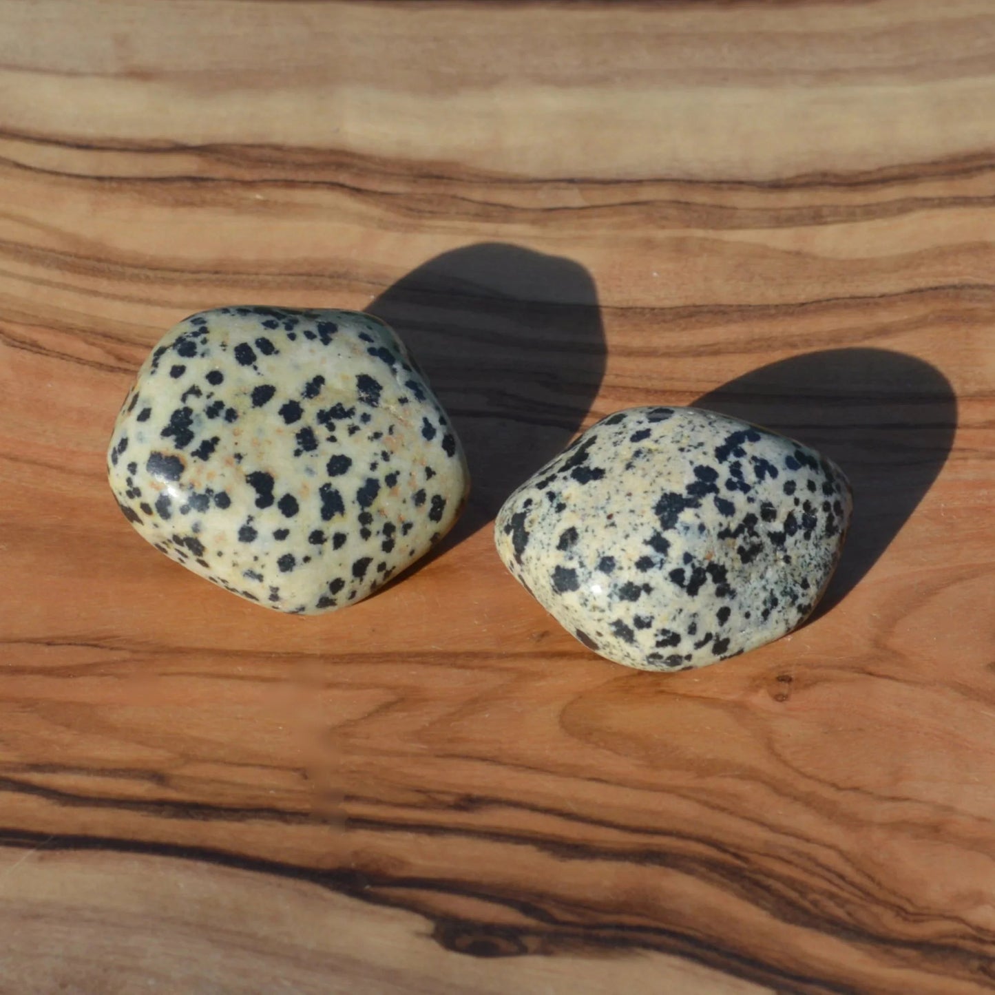 Dalmatiner Jaspis Trommelstein