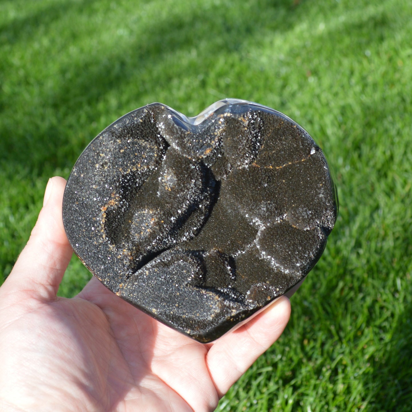 Septarie Herz mit Druse