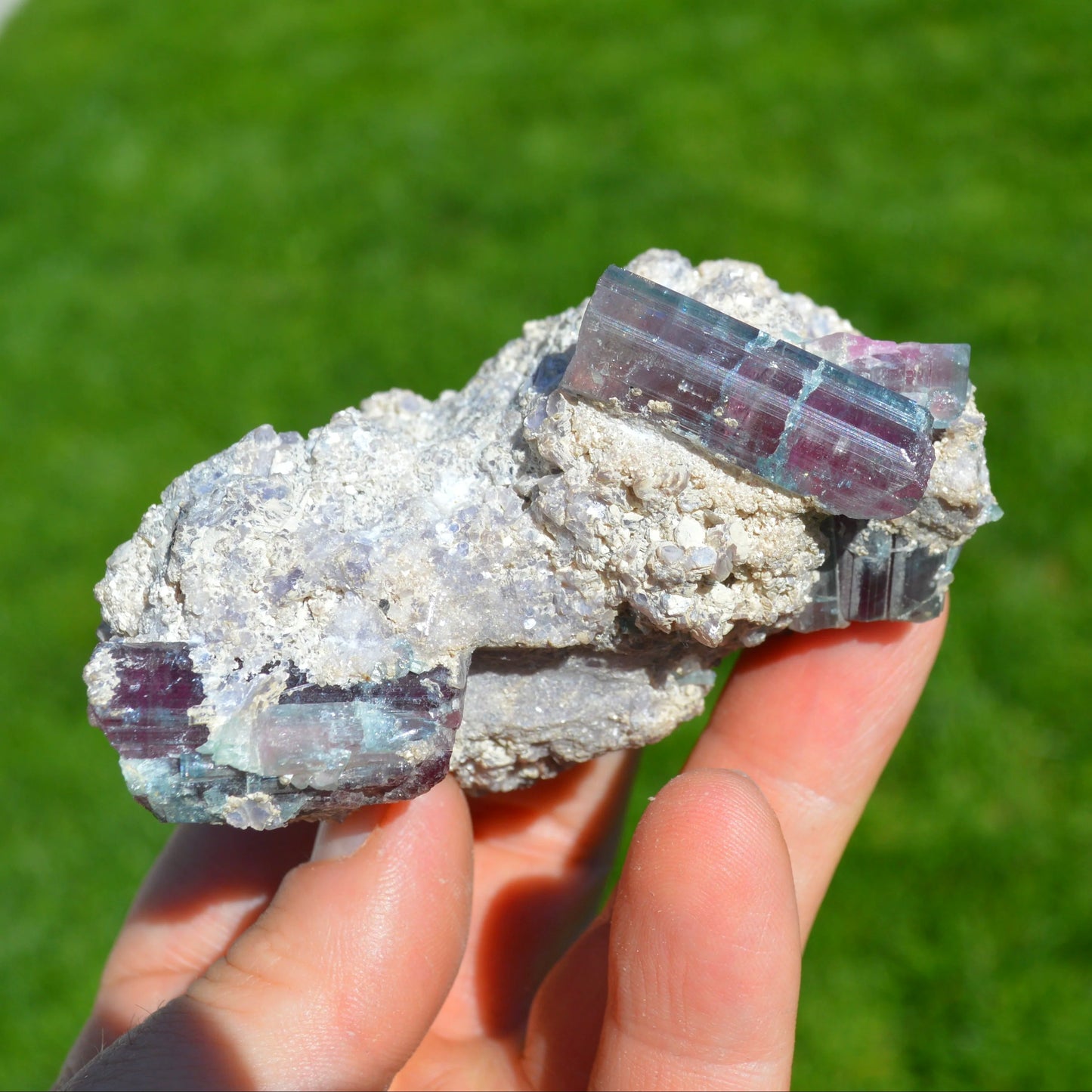Bicolor-Turmaline in Matrix