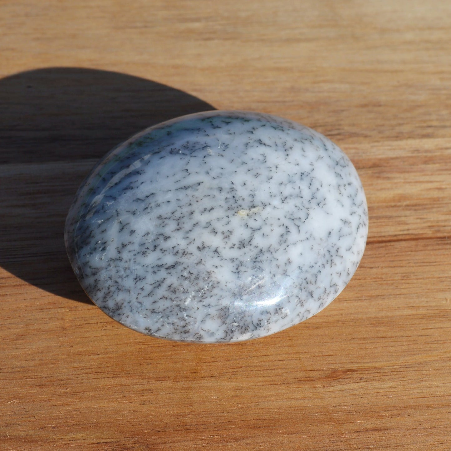 Dendriten Opal Handstein