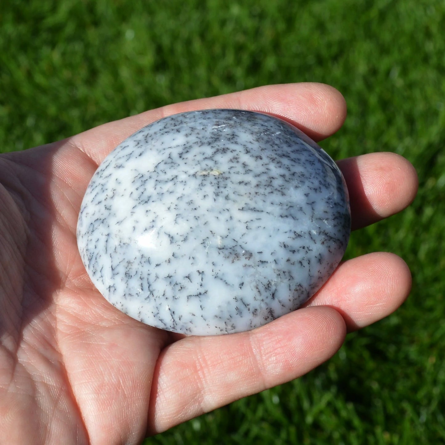 Dendriten Opal Handstein