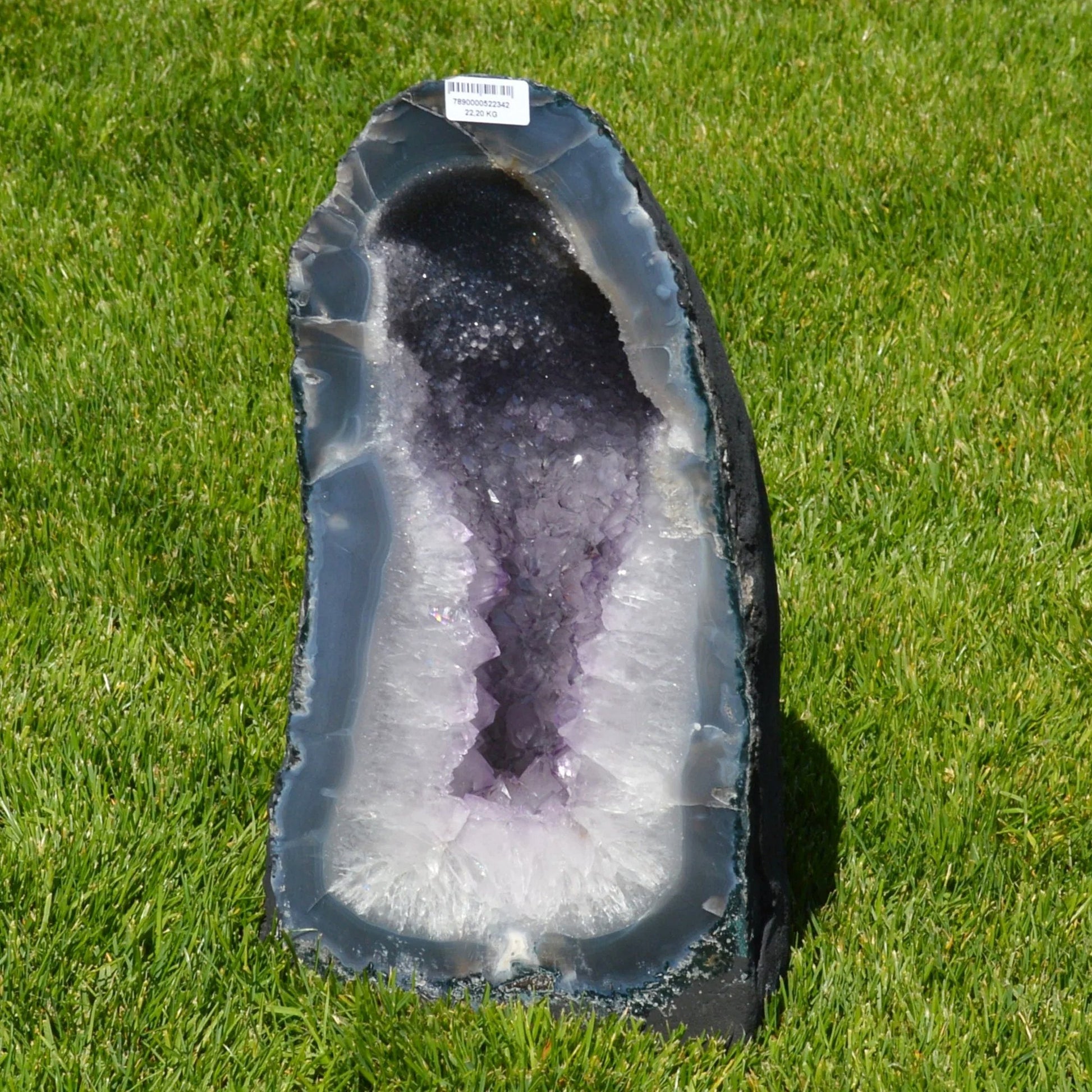 Amethyst Druse mit Achat-Rand von Natural Crystals – intensives Lila, Lichtreflexion der Kristalle, Naturstein-Unikat.