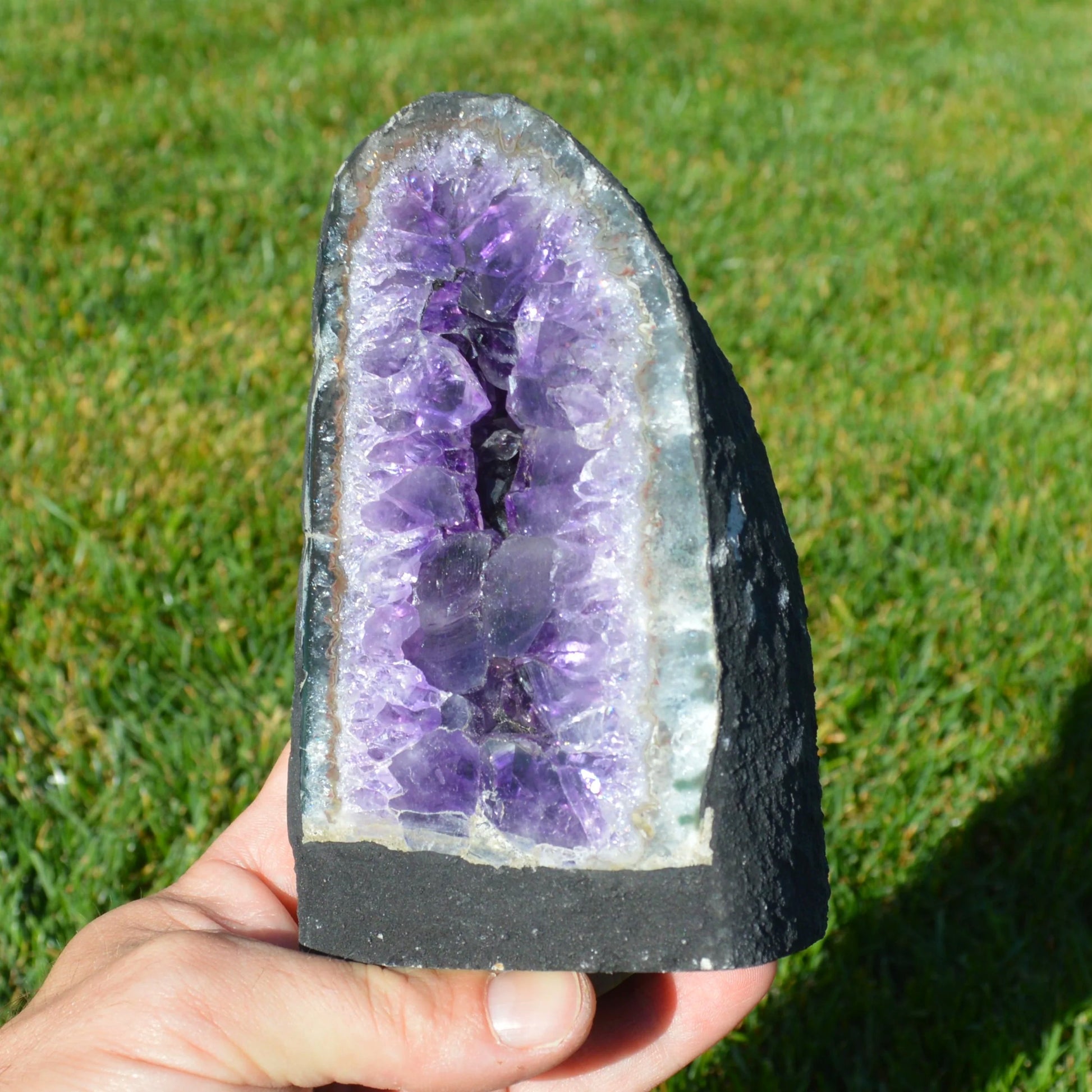 Natural Crystals Amethyst Druse mit intensivem Lila, Naturstein-Unikat, Vorderansicht.
