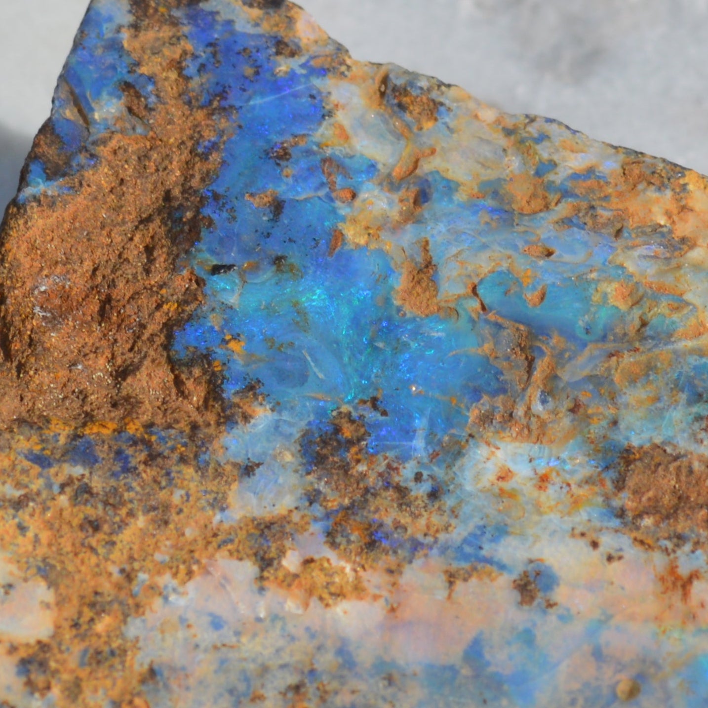 Boulder Opal Rohstein