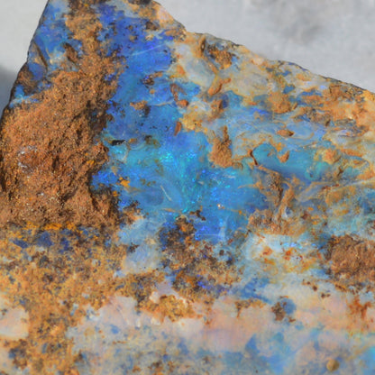 Boulder Opal Rohstein