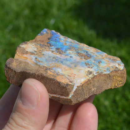 Boulder Opal Rohstein