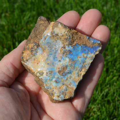 Boulder Opal Rohstein
