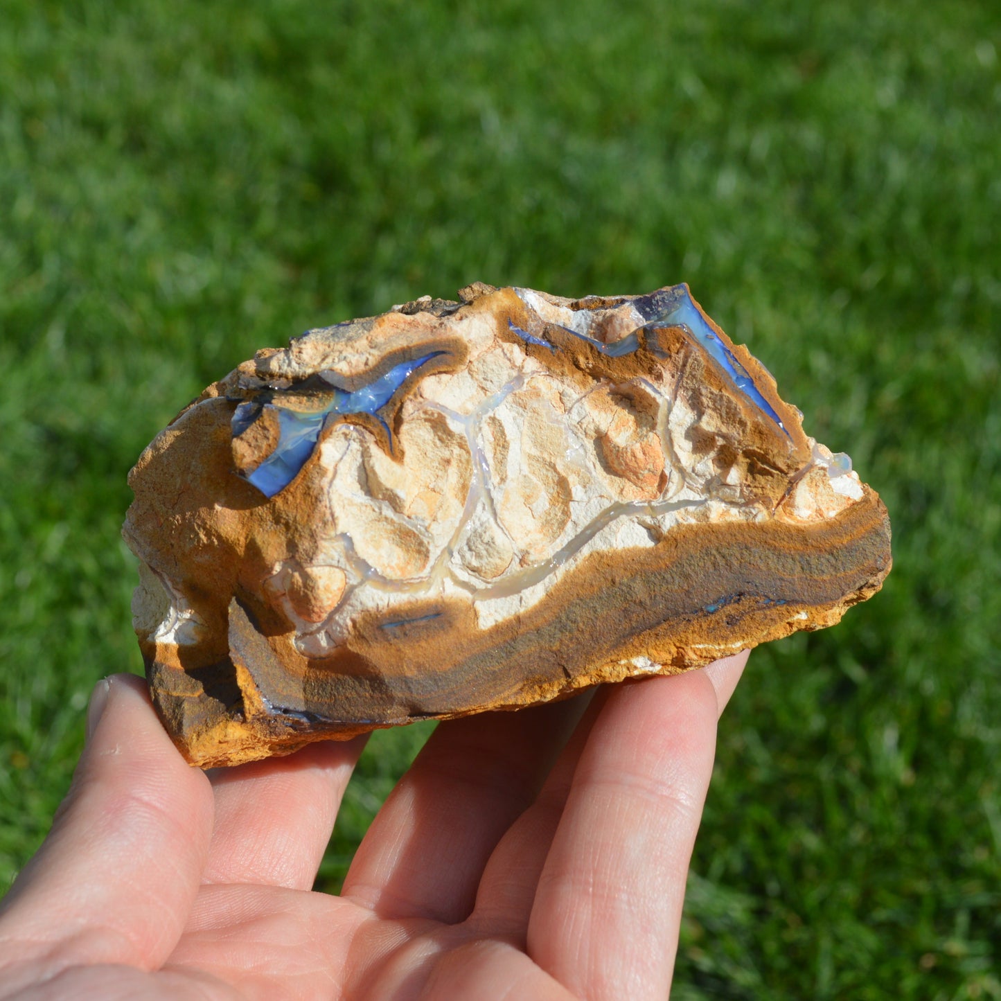 Boulder Opal Rohstein