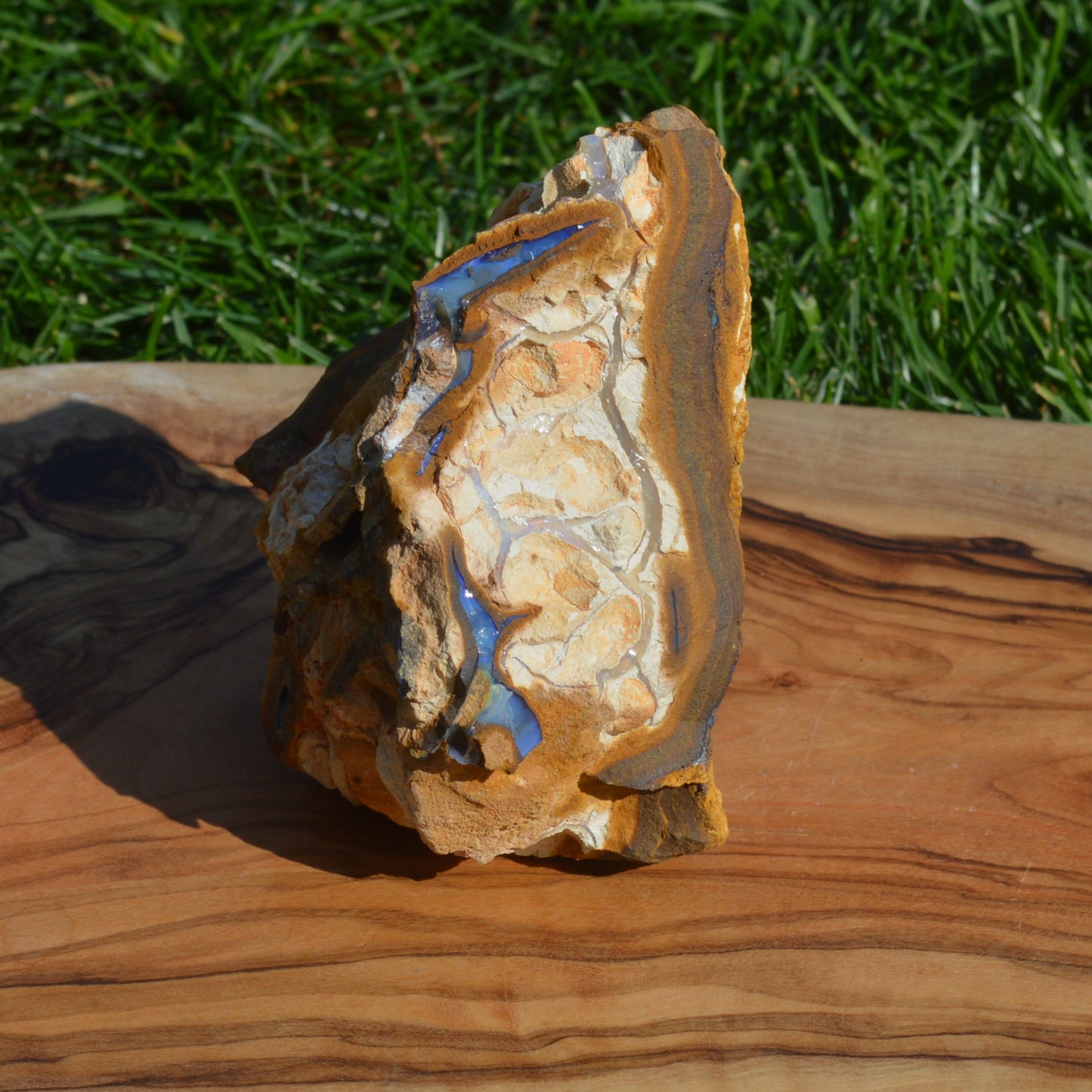 Boulder Opal Rohstein