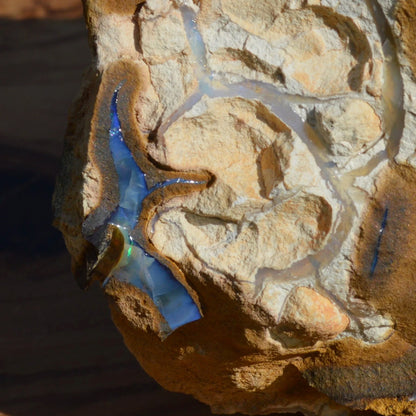 Boulder Opal Rohstein