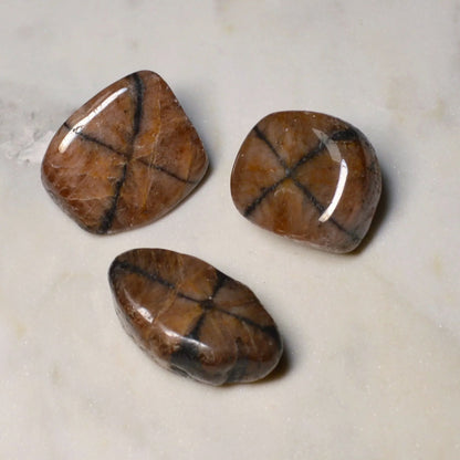 Chiastolith (Kreuzstein) Trommelstein