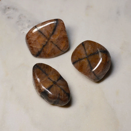 Chiastolith (Kreuzstein) Trommelstein