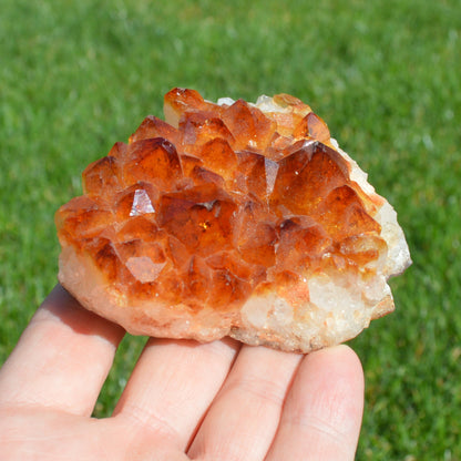 Citrin Drusenstück (behandelt)