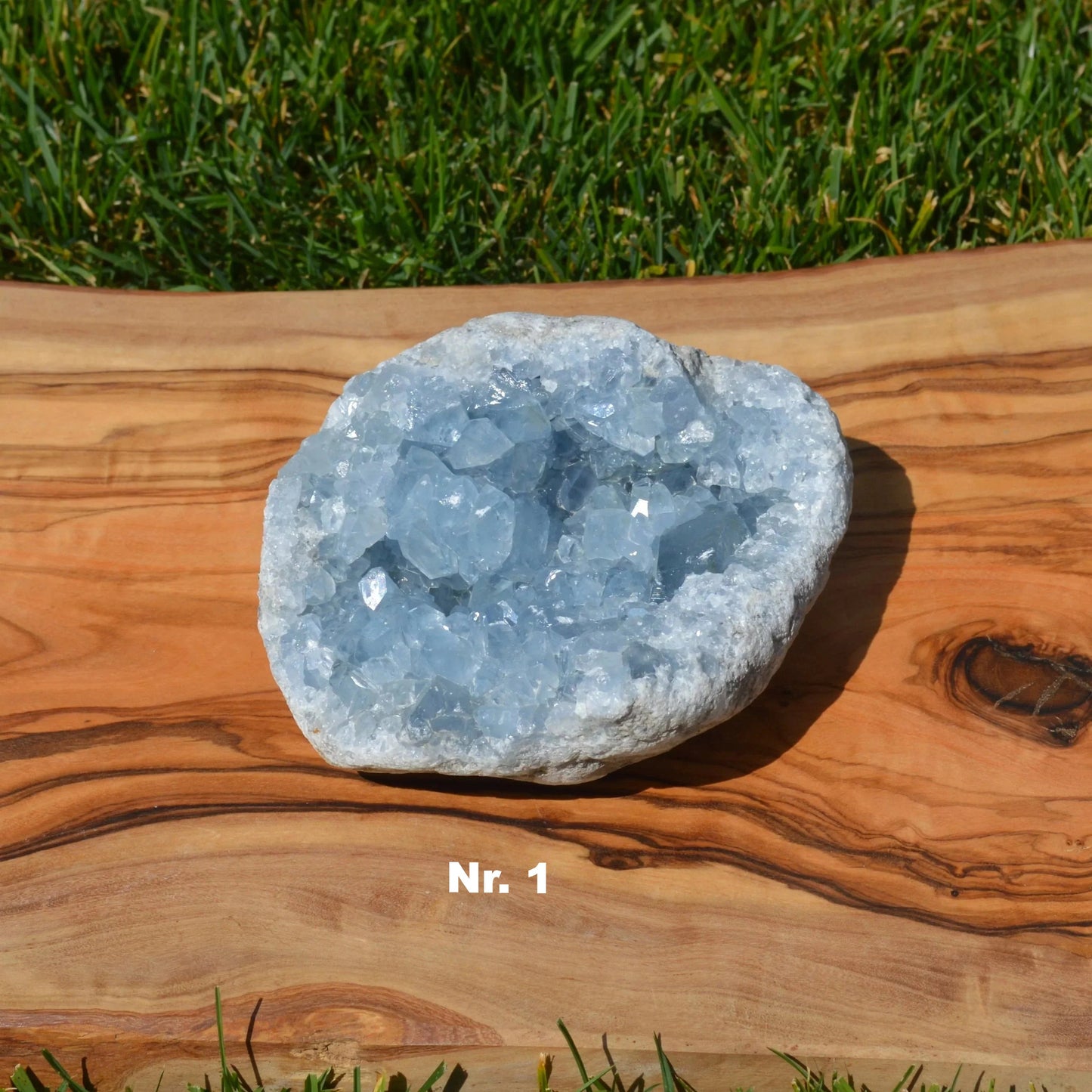 Coelestin Druse - wähle deinen Favoriten