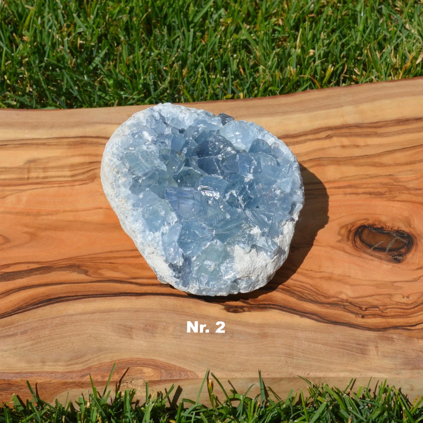 Coelestin Druse - wähle deinen Favoriten