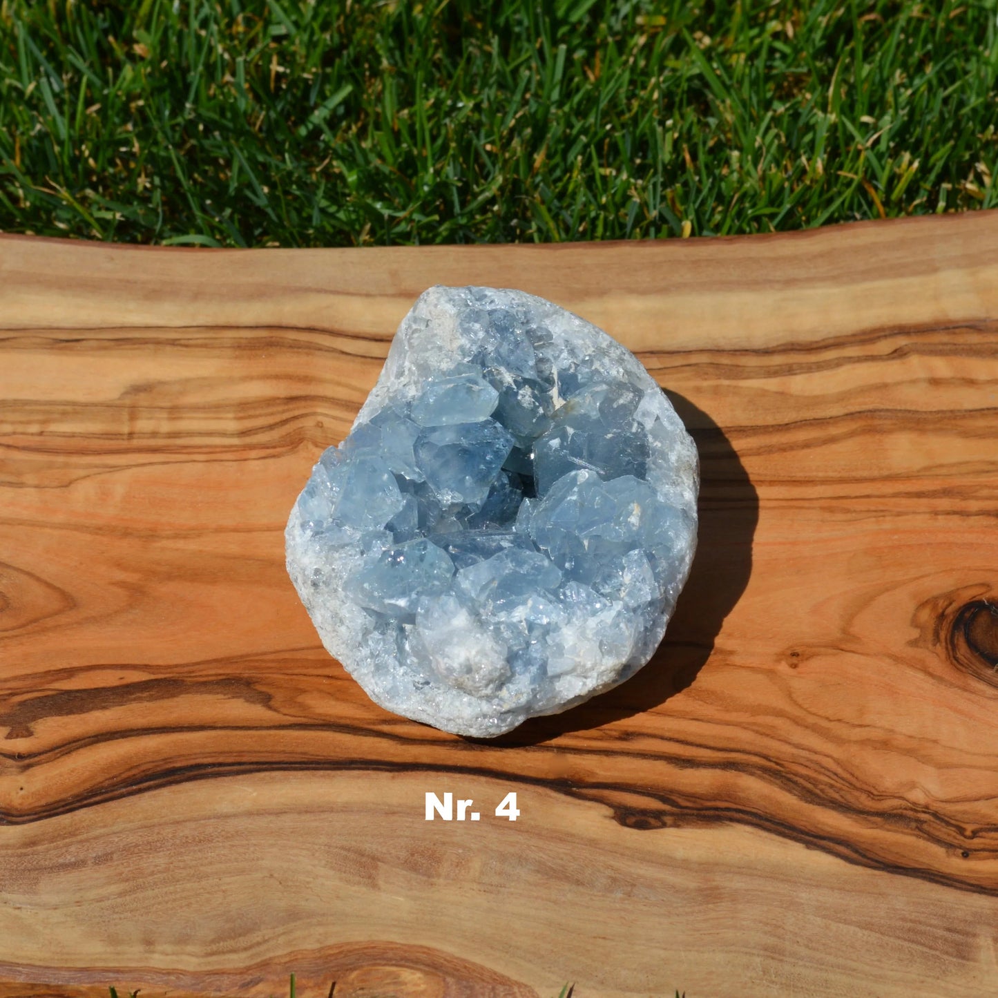 Coelestin Druse - wähle deinen Favoriten