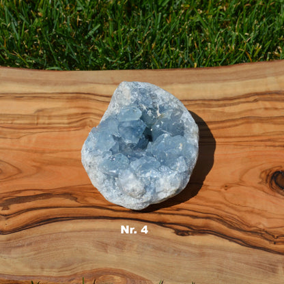 Coelestin Druse - wähle deinen Favoriten