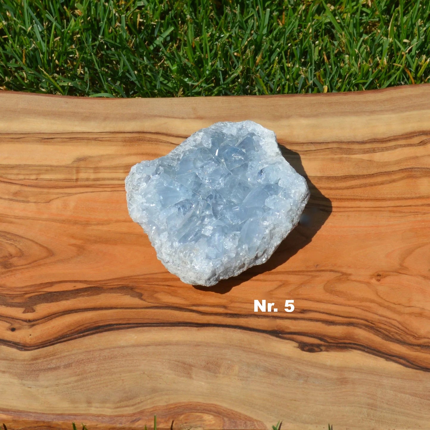 Coelestin Druse - wähle deinen Favoriten