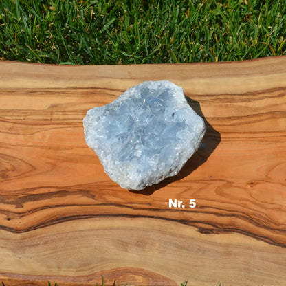 Coelestin Druse - wähle deinen Favoriten