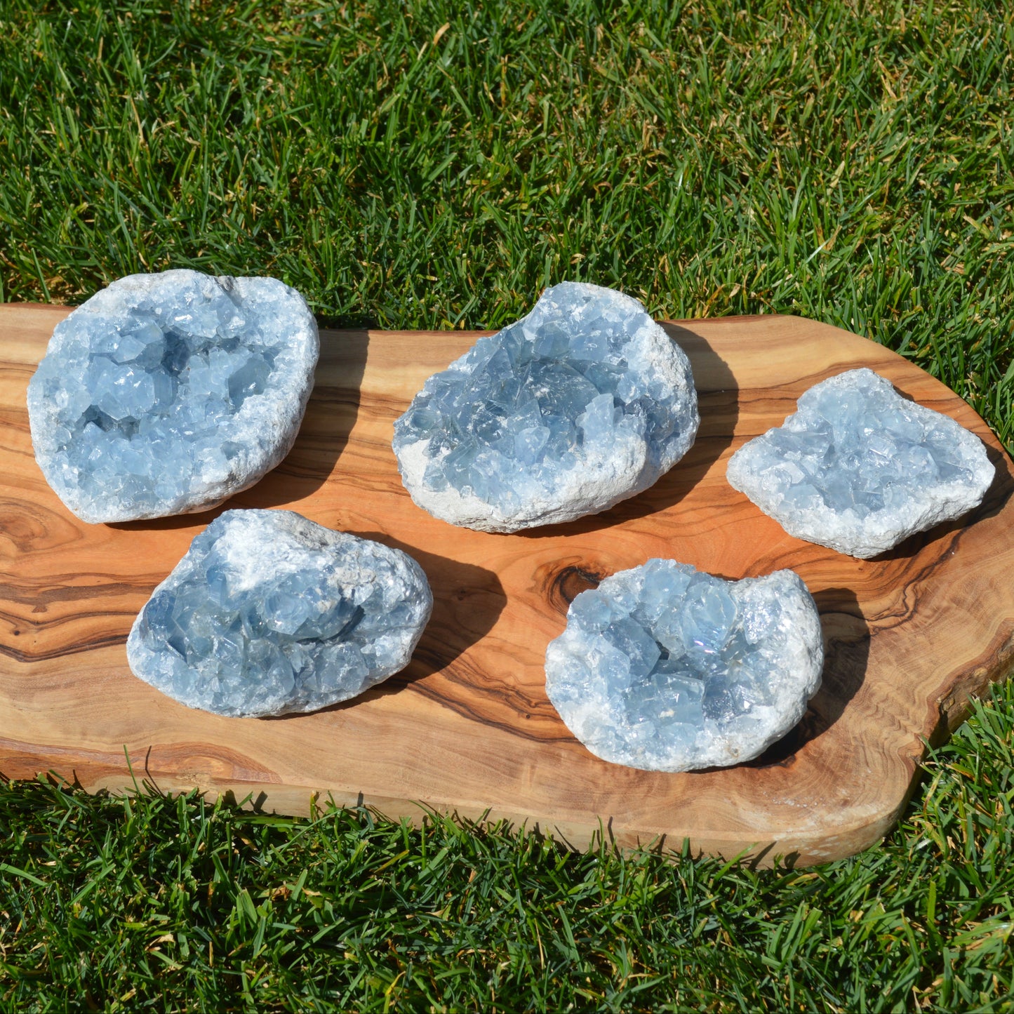 Coelestin Druse - wähle deinen Favoriten